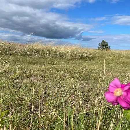 8 Person In Glesborg-by Traum * Fjellerup